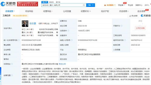 吉利科技重慶公司注銷始末 成立不足一年，新能源原動設備銷售業務何去何從？